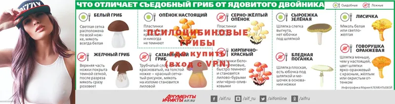 Галлюциногенные грибы Psilocybine cubensis  гидра маркетплейс  Миньяр  закладка 